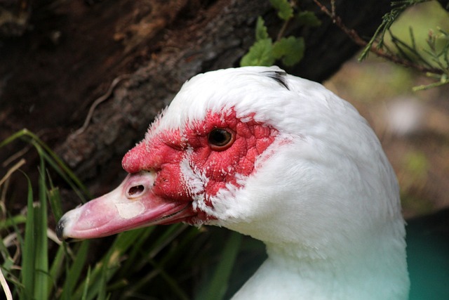 和重要性 和重要性