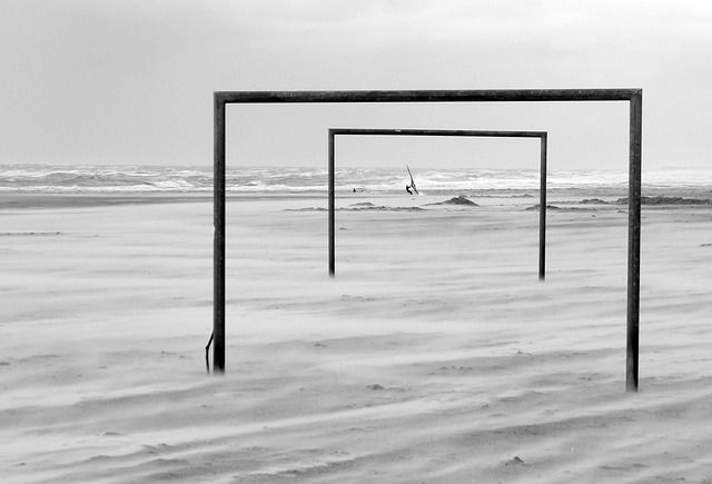 刘炜的角色 刘炜的角色