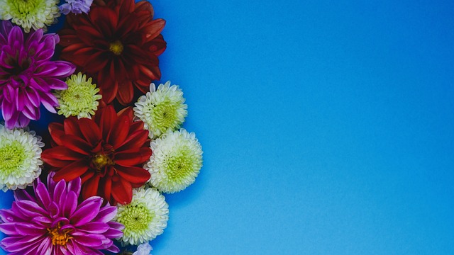 波兰在此次 波兰在此次