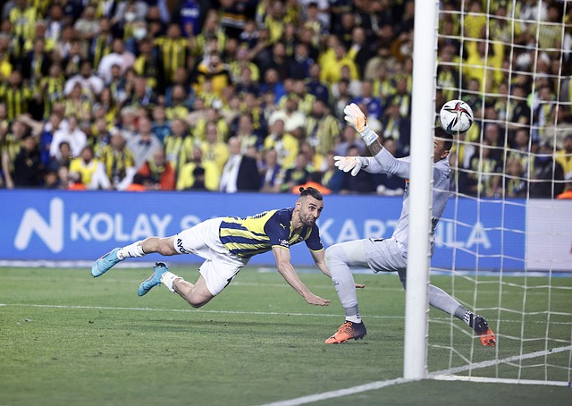 对于威廉姆 对于威廉姆