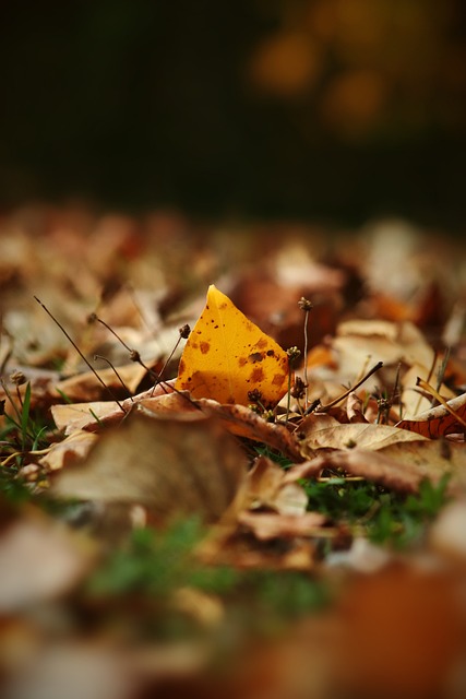 这不仅让他 这不仅让他