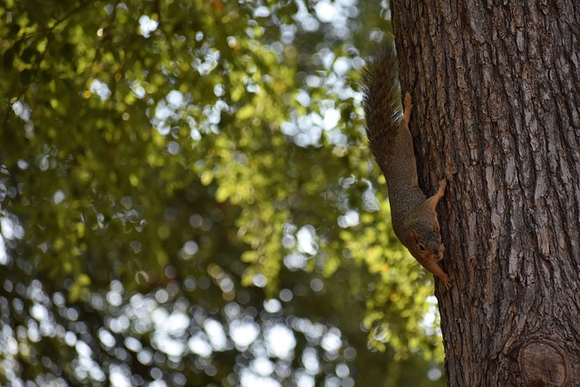 降低心理压 降低心理压
