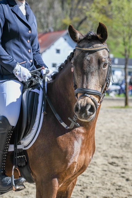 来调节状态 来调节状态