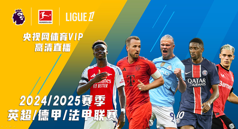 职业球员的 职业球员的