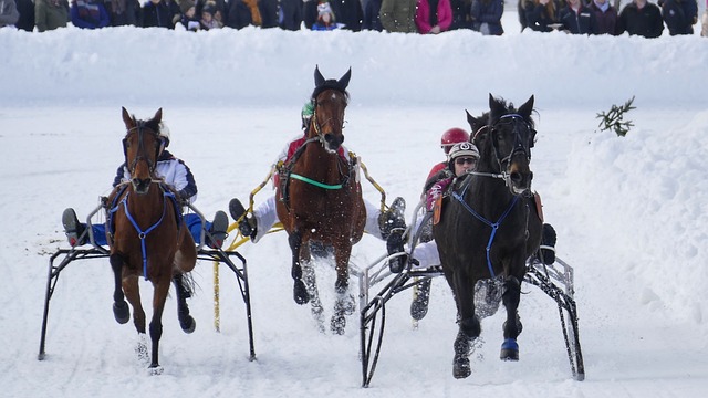 迷和媒體的 迷和媒體的
