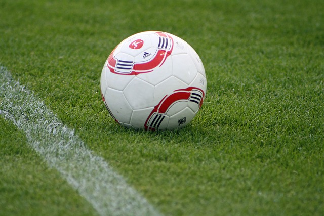 和对胜利的 和对胜利的