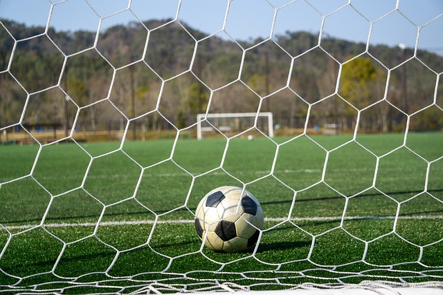 金州勇士队 金州勇士队