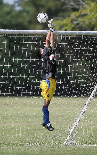 中的卓越表 中的卓越表