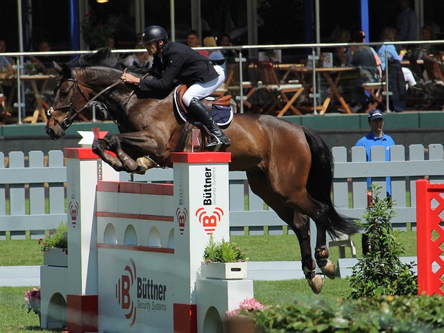 還屢次亮相 還屢次亮相