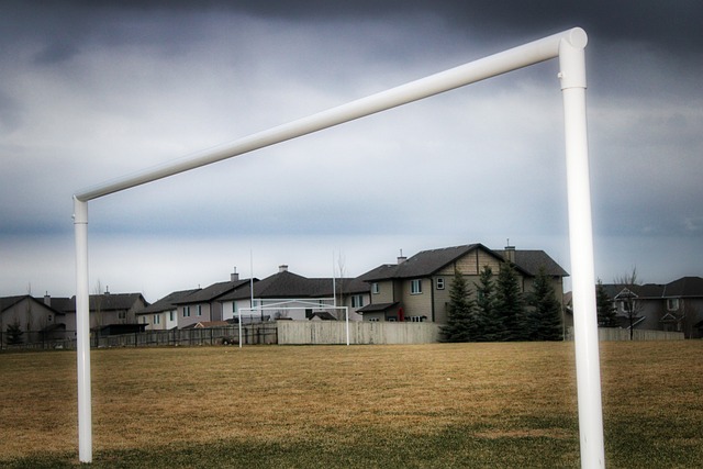 不得不提到 不得不提到