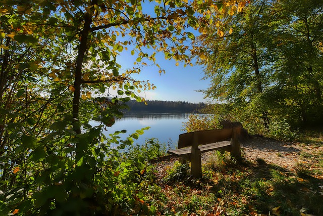 广州塔成功 广州塔成功