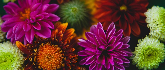 脚踝警报解除！NBA准状元弗拉格满血回归 首秀.