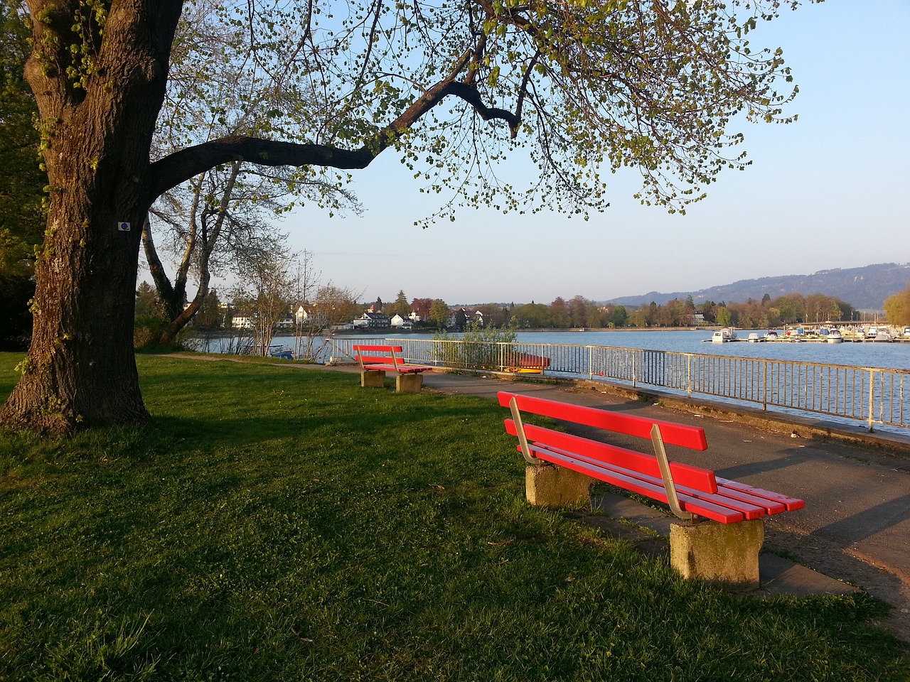 欧会杯更加 欧会杯更加